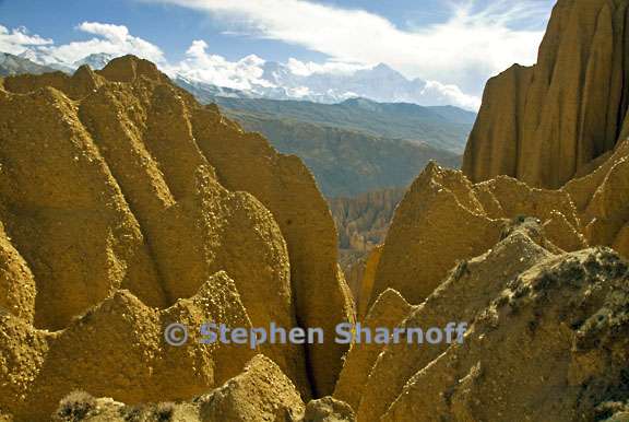 siyarko tang danda 5 graphic